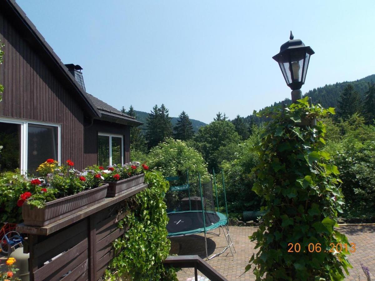 Gaestezimmer Haus Talblick Lautenthal Dış mekan fotoğraf