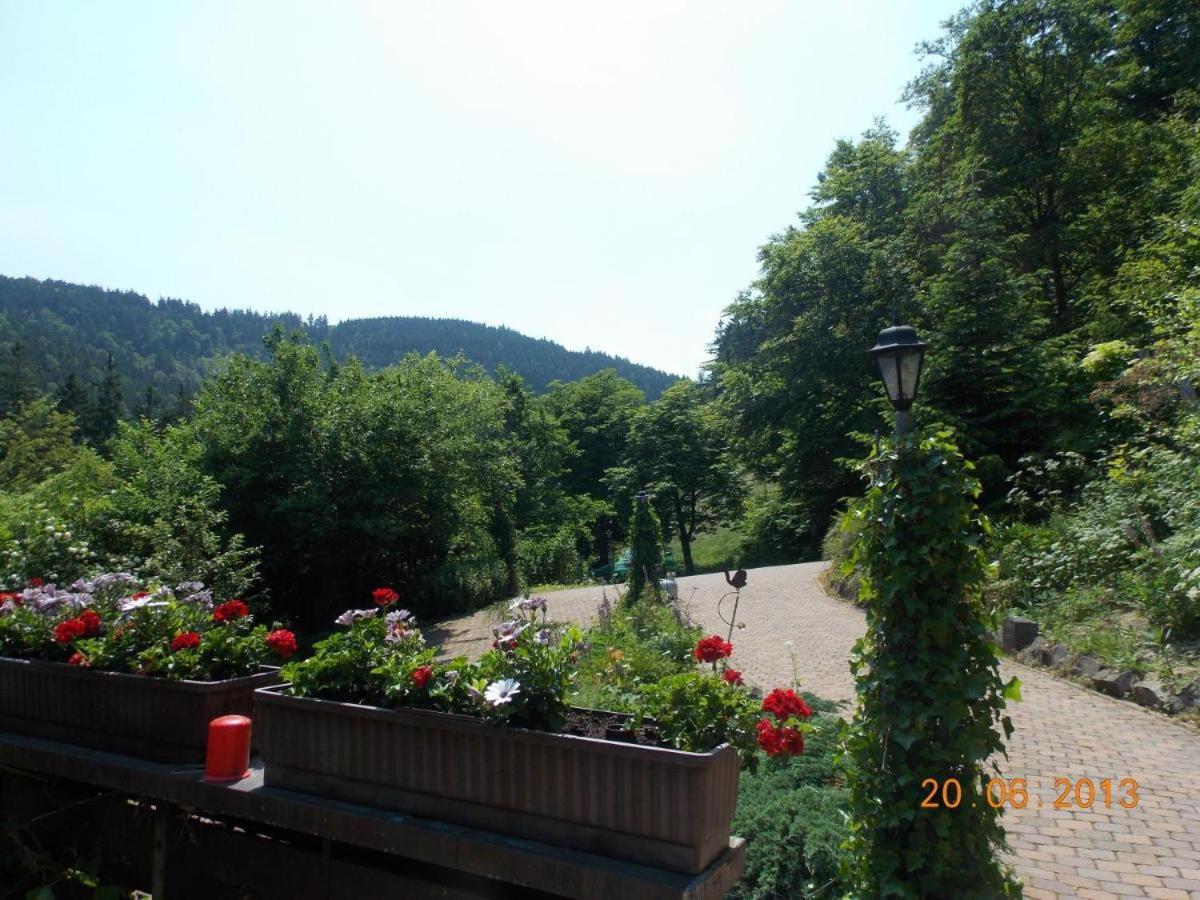 Gaestezimmer Haus Talblick Lautenthal Dış mekan fotoğraf