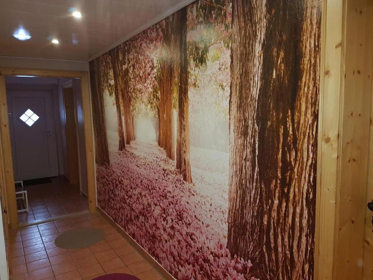 Gaestezimmer Haus Talblick Lautenthal Dış mekan fotoğraf