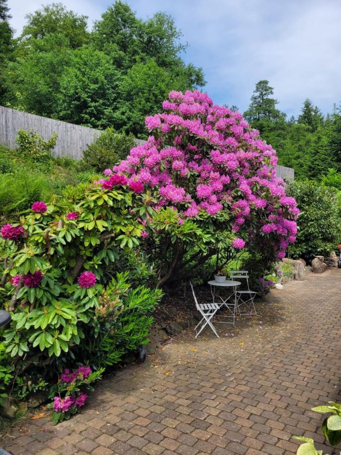 Gaestezimmer Haus Talblick Lautenthal Dış mekan fotoğraf